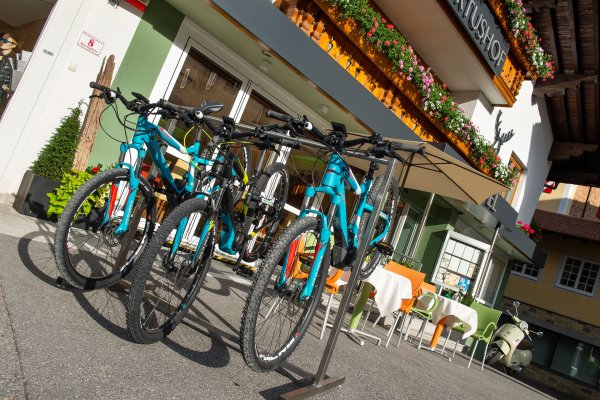 hotel-hubertushof-ebikes-763-c-muehlbacher.jpg